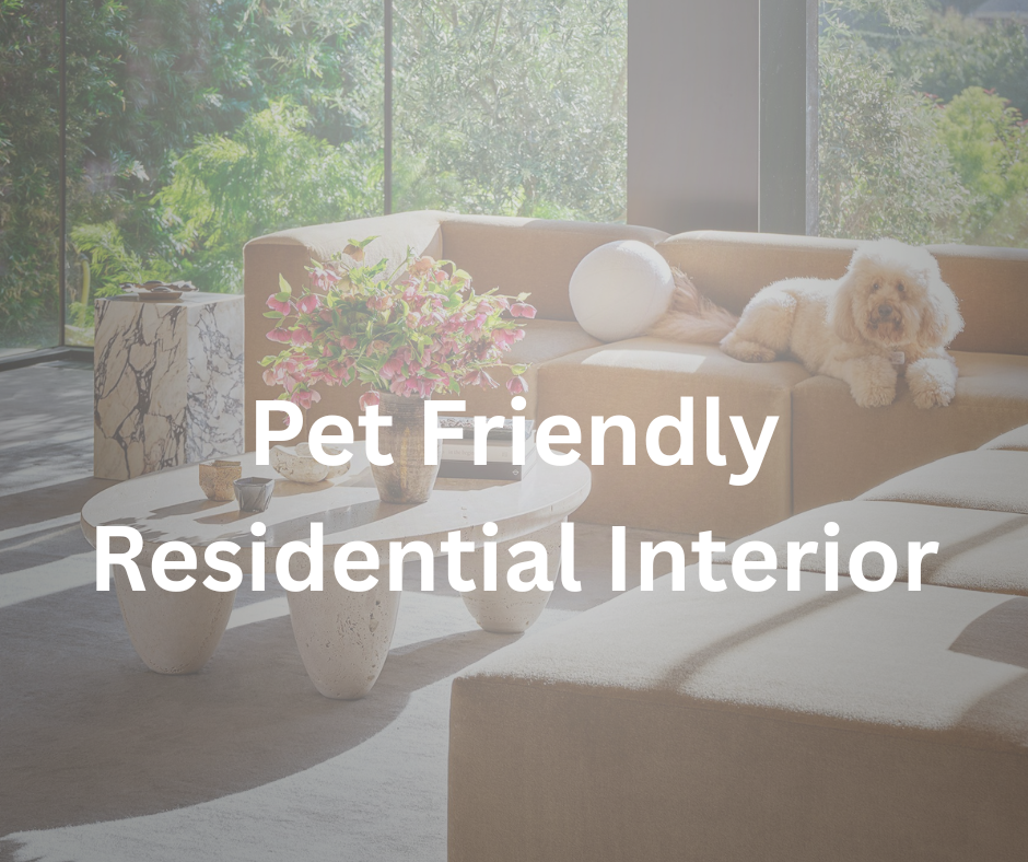 Pet friendly residential interior